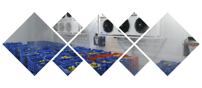 AUTO-SENSOR BASED RIPENING SOLUTION